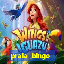 praia bingo dinheiro infinito 2022